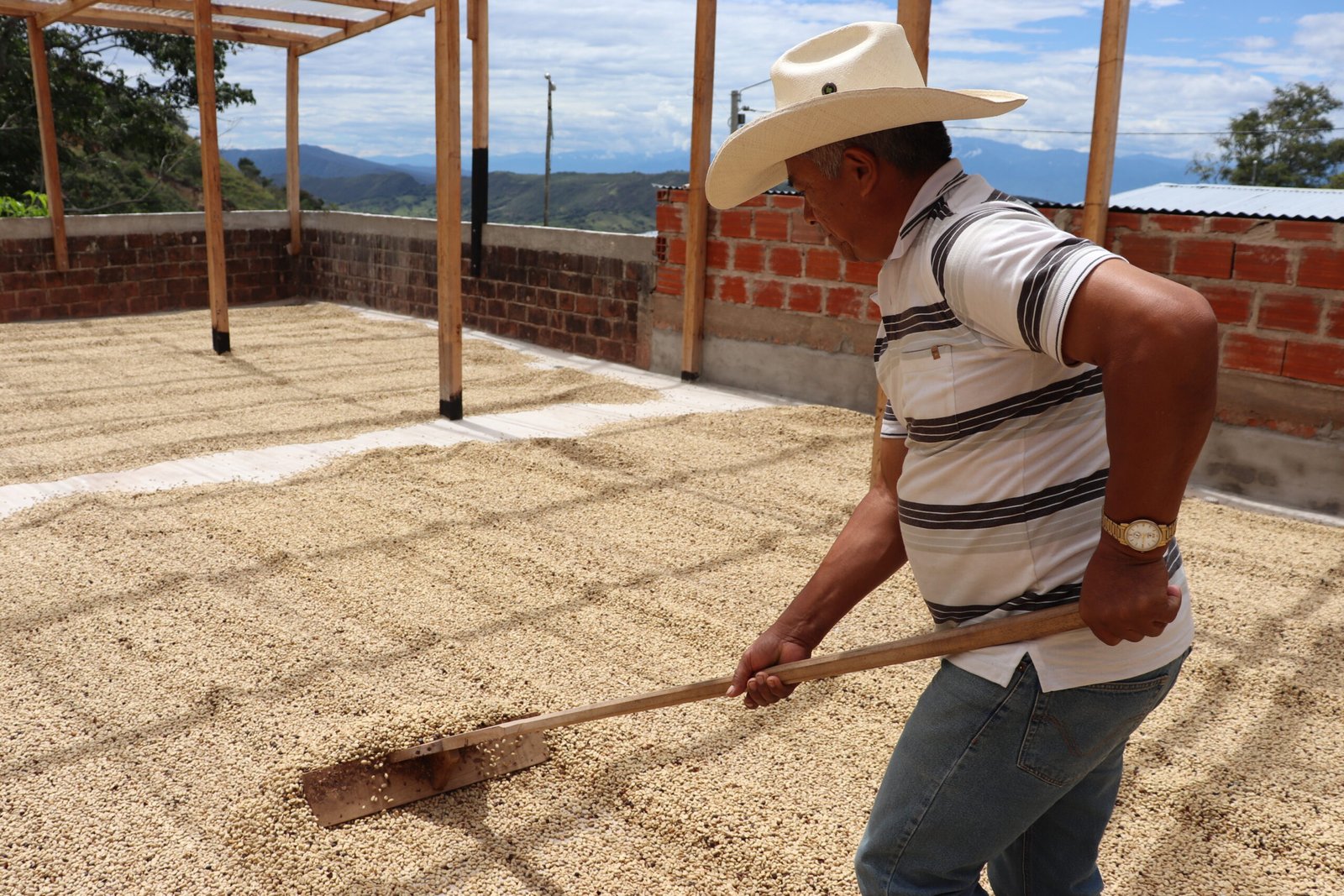 cafe-secandose-juan-octavio-cafe-del-huila